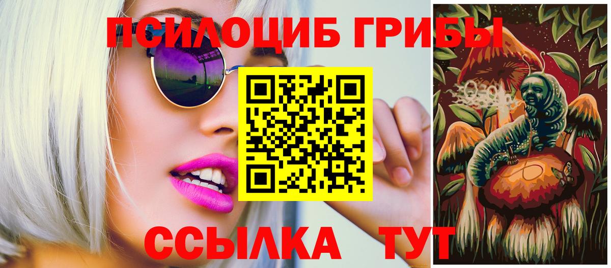Псилоцибиновые грибы мицелий Приморско-Ахтарск